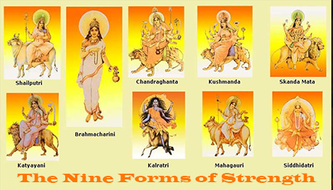 The Nine Forms of Strength-Dr Archika Didi-Life Pathway